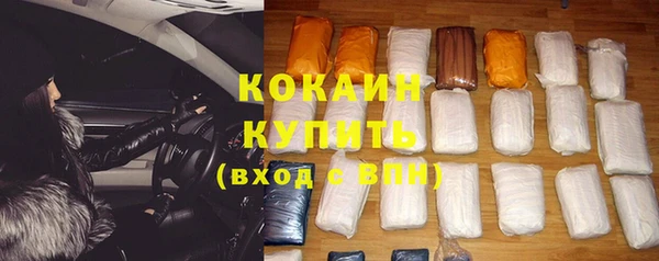 стафф Арсеньев