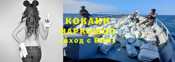 стафф Аркадак