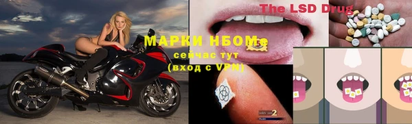 стафф Арсеньев