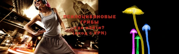 стафф Арсеньев