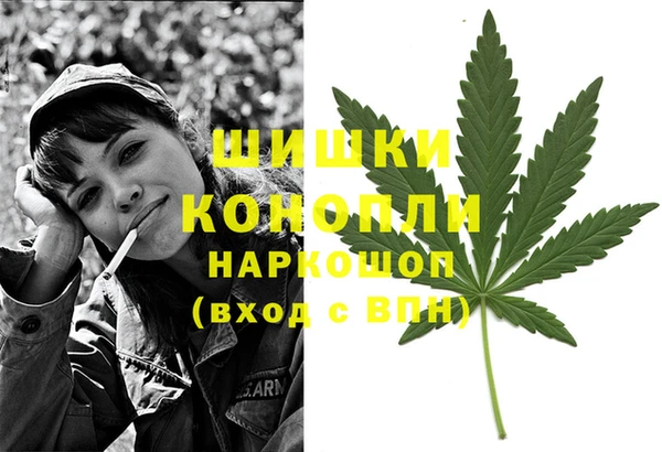 стафф Аркадак